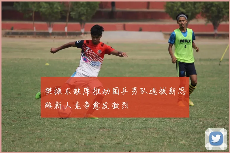 樊振东缺席推动国乒男队选拔新思路新人竞争愈发激烈